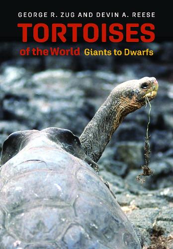 Tortoises of the World: Giants to Dwarfs.
