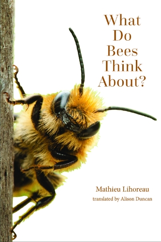 What Do Bees Think About?.