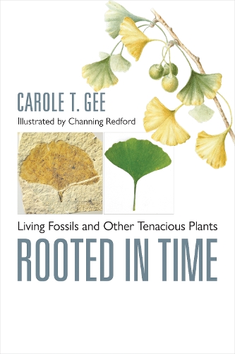 Rooted in Time: Living Fossils and Other Tenacious Plants.