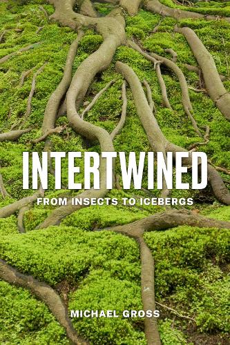 Intertwined: From Insects to Icebergs.