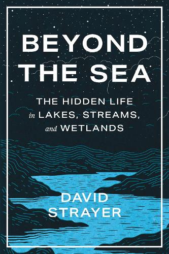 Beyond the Sea: The Hidden Life in Lakes, Streams, and Wetlands.