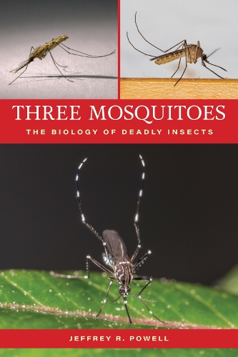 Three Mosquitoes: The Biology of Deadly Insects.