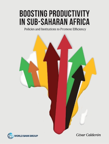 Boosting Productivity in Sub-Saharan Africa.