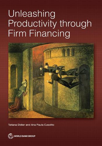 Unleashing Productivity through Firm Financing.