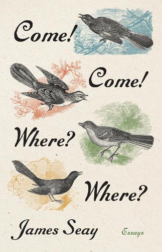 Come! Come! Where? Where?: Essays.