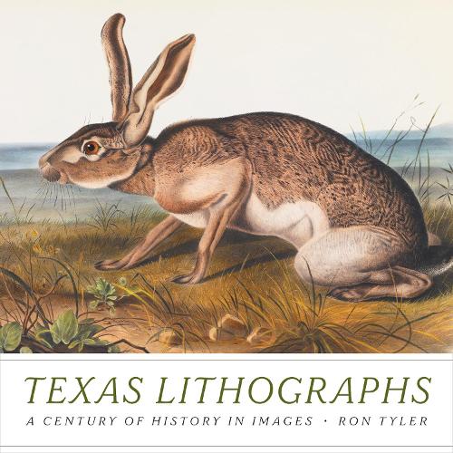 Texas Lithographs: A Century of History in Images.