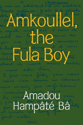 Amkoullel, the Fula Boy.