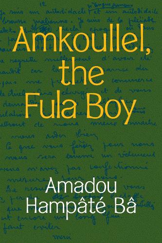 Amkoullel, the Fula Boy.