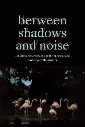 Between Shadows and Noise: Sensation, Situatedness, and the Undisciplined.