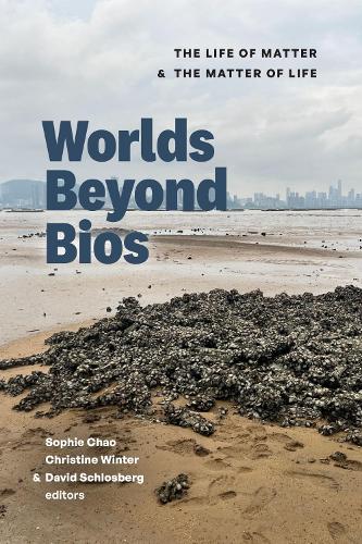 Worlds Beyond Bios
