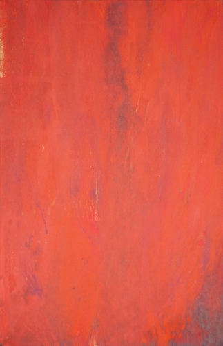 Light Within Light: Psalms and the Arts of Insight.