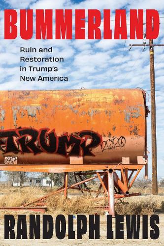 Bummerland: Ruin and Restoration in Trump's New America.