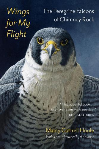 Wings for My Flight: The Peregrine Falcons of Chimney Rock.