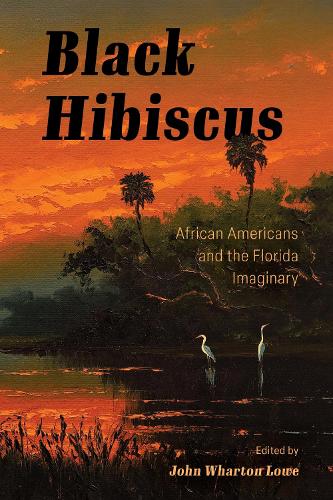 Black Hibiscus: African Americans and the Florida Imaginary.