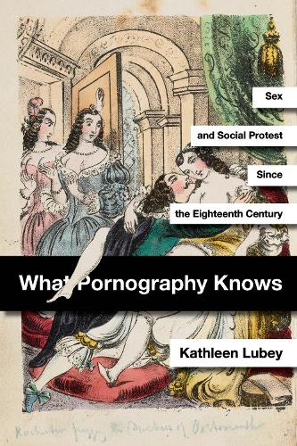 What Pornography Knows: Sex and Social Protest Since the Eighteenth Century. New edition