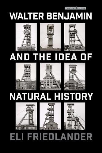 Walter Benjamin and the Idea of Natural History.
