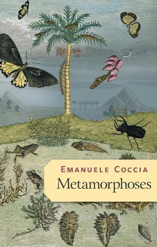 Metamorphoses.
