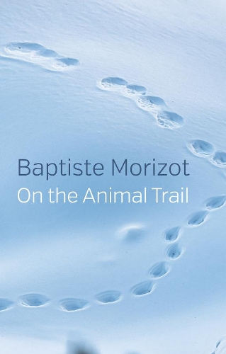 On the Trail of Animal.