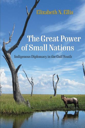 The Great Power of Small Nations: Indigenous Diplomacy in the Gulf South.