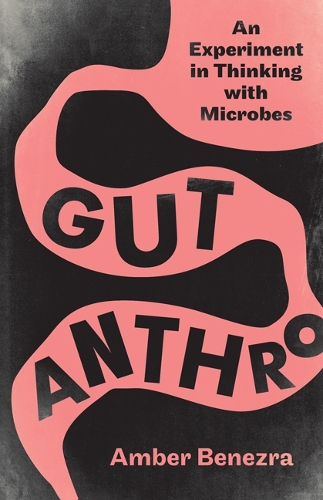 Gut Anthro