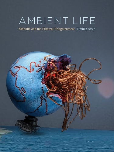 Ambient Life Volume 80: Melville and the Ethereal Enlightenment.