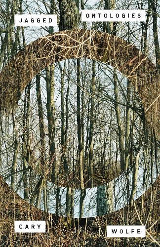 Jagged Ontologies Volume 81: Volume 81.
