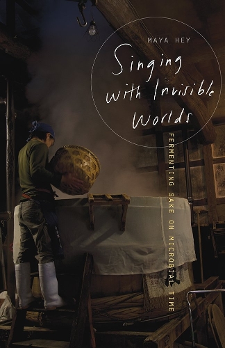 Singing with Invisible Worlds