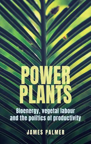 Power plants: Bioenergy, vegetal labour and the politics of productivity.