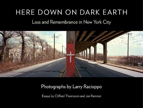 Here Down on Dark Earth: Loss and Remembrance in New York City. New edition