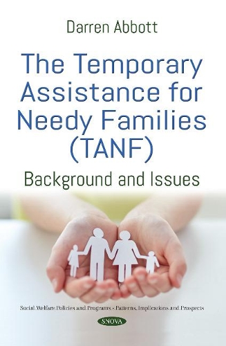 The Temporary Assistance for Needy Families (TANF): Background and Issues.