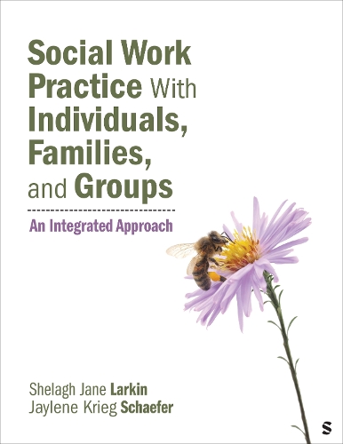 Social Work Practice With Individuals, Families, and Groups: An Integrated Approach.