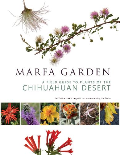 Marfa Garden: A Field Guide to Plants of the Chihuahuan Desert.