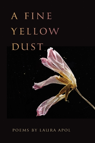 A Fine Yellow Dust.