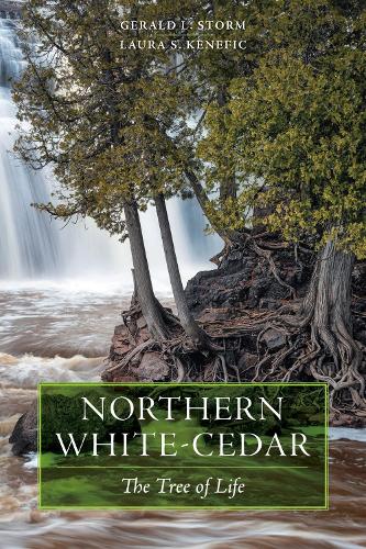 Northern White-Cedar: The Tree of Life.