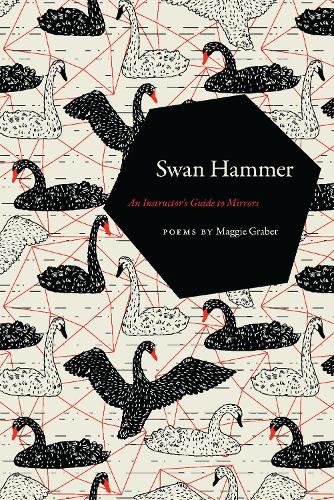 Swan Hammer: An Instructor's Guide to Mirrors.