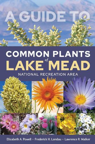 A Guide to Common Plants of Lake Mead National Recreation Area.
