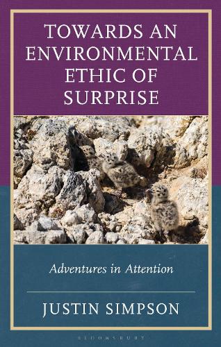 Towards an Environmental Ethic of Surprise