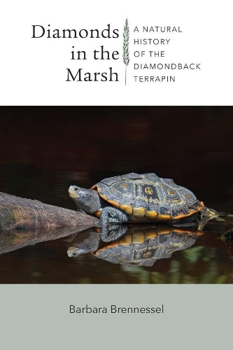 Diamonds in the Marsh - A Natural History of the Diamondback Terrapin.