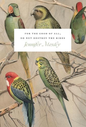 For the Good of All, Do Not Destroy the Birds: Essays.