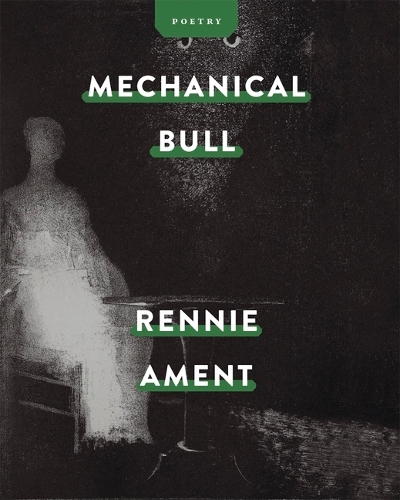 Mechanical Bull.