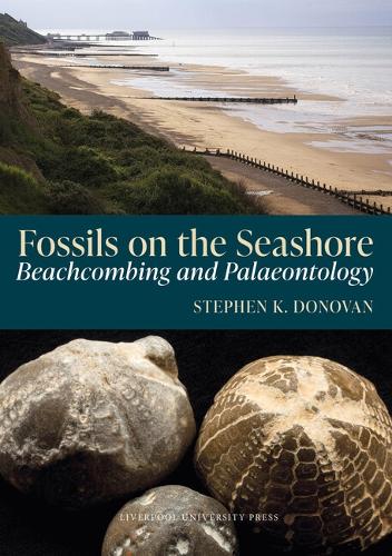 Fossils on the Seashore: Beachcombing and Palaeontology.