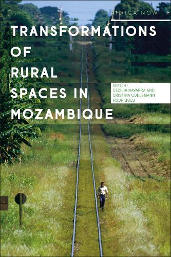 Transformations of Rural Spaces in Mozambique.