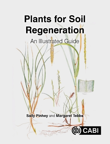 Plant for Soil Regeneration: An Illustrated Guide.