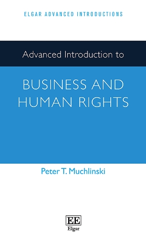 Advanced Introduction to Business and Human Rights.