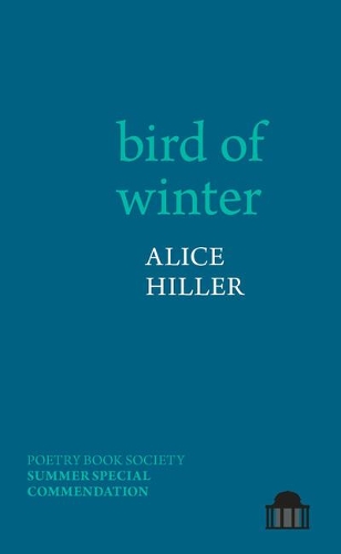 bird of winter.