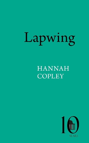 Lapwing.