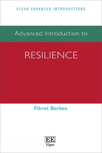 Advanced Introduction to Resilience.