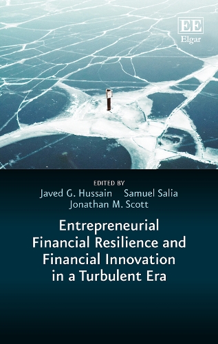 Entrepreneurial Financial Resilience and Financial Innovation in a Turbulent Era.