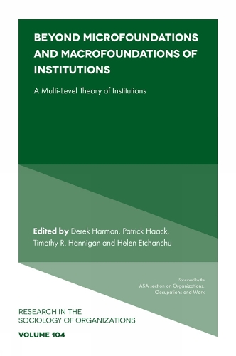 Beyond Microfoundations and Macrofoundations of Institutions