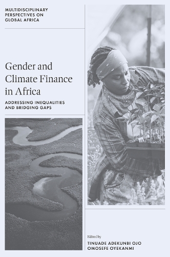 Gender and Climate Finance in Africa